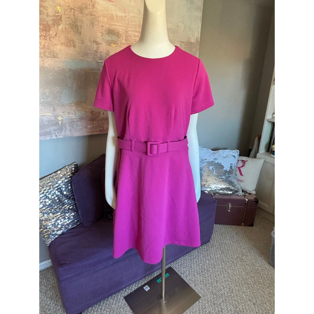 Maggy London Magenta Pink Short Sleeve Belted A-Line Dress Gold Back Zip Size 12